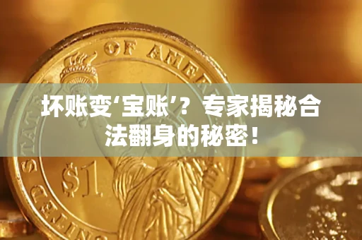 济南坏账变‘宝账’？专家揭秘合法翻身的秘密！