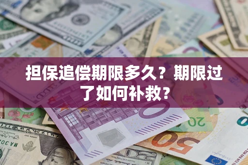 济南担保追偿期限多久？期限过了如何补救？