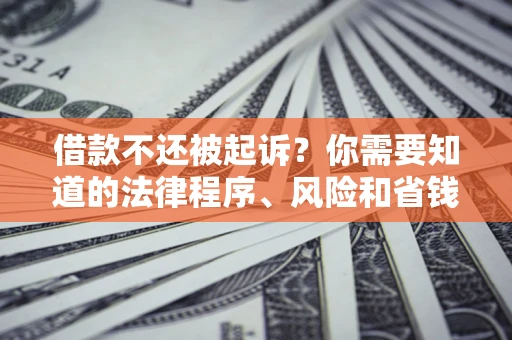 济南借款不还被起诉？你需要知道的法律程序、风险和省钱技巧